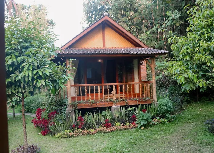 Nishiyama Wooden House ロッジ *